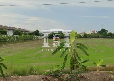 41584 - Land for sale, area 26-0-32 rai, along Khlong Bang Phai. 600 meters from Wat Lat Pla Duk Road.