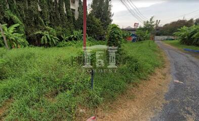 41448 - Land for sale, area 229 sq wa, Ramintra 107, only 500 meters from the Pink Line.