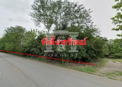 90029 - Land for sale next to Chiang Mai-San Kamphaeng Highway 8 (1317), Mae On New Road. Cheaper than the market, area 66-0-11 rai.