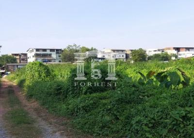 90332 - Empty land for sale, area 290 sq wa, Ekachai 76, near Lertlah School. In the future, prepare to make a road 10 meters wide.