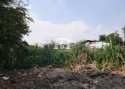 42172 - Land for sale near BTS Sri Bearing-Sri Dan. Srinakarin Road, area 202 sq wa