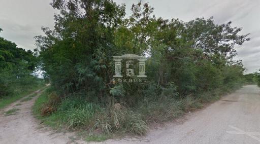 38072-Land for sale, Thanarat Road, Khao Yai, area 2 rai 300 sq wa