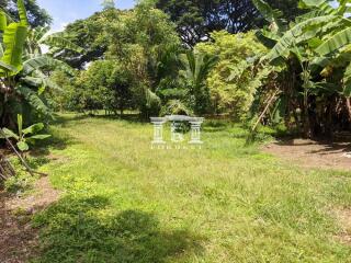 90608 - Land for sale, area 9-3-37 rai, Thung Hotel, Chiang Mai.