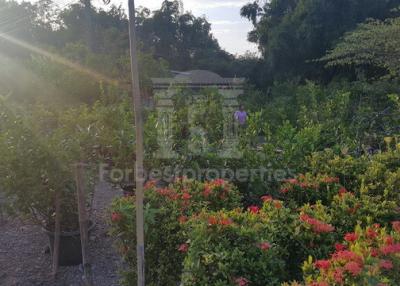 36965 - Land for sale, Rangsit-Nakhon Nayok Road, area 50 rai 53 sq wa