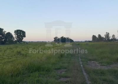 36965 - Land for sale, Rangsit-Nakhon Nayok Road, area 50 rai 53 sq wa