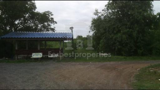 36618 - Land for sale, Phahonyothin-Wang Noi Road, area 100 rai.