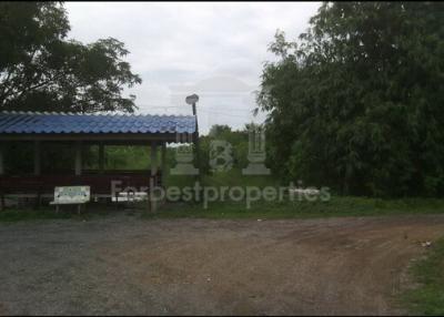 36618 - Land for sale, Phahonyothin-Wang Noi Road, area 100 rai.