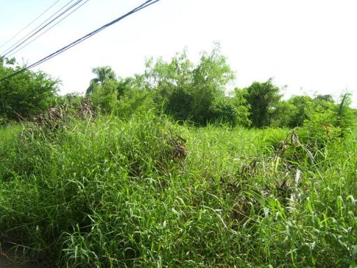 26384 - Land for sale, Sukhumvit Road 105, area 360 sq wa