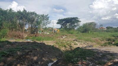 38923-Land for sale Phutthamonthon Sai 2 Road, area 1 rai