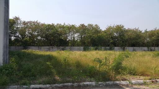 38636-Land for sale Phutthamonthon Sai 2 Road, area 28 rai