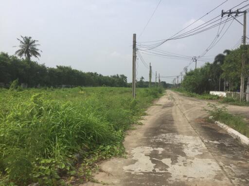 38636-Land for sale Phutthamonthon Sai 2 Road, area 28 rai