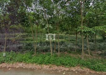 42451 - Land for sale bypassing Rayong city, area 22-0-34 rai, near Central Rayong.