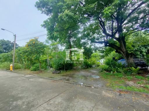 42440 - Land for sale, area 3-0-80.5 rai, Kamphaeng Phet 2 Road, near Bang Sue Central Station.