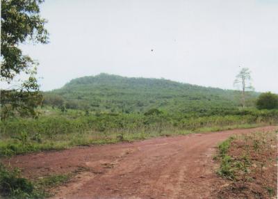 35359 - Land for sale, Nadi District, Prachinburi Province, area 198-0-73 rai.