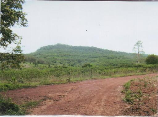 35359 - Land for sale, Nadi District, Prachinburi Province, area 198-0-73 rai.