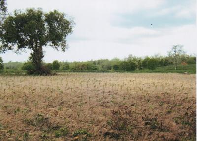 35359 - Land for sale, Nadi District, Prachinburi Province, area 198-0-73 rai.