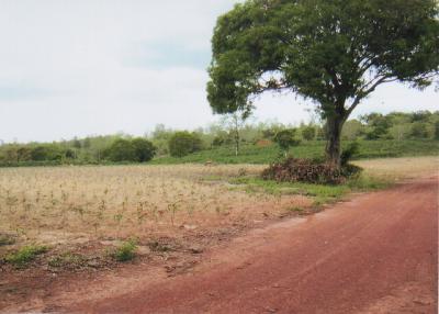 35359 - Land for sale, Nadi District, Prachinburi Province, area 198-0-73 rai.