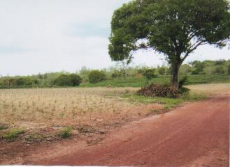 35359 - Land for sale, Nadi District, Prachinburi Province, area 198-0-73 rai.