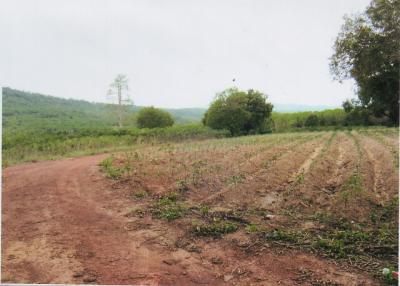 35359 - Land for sale, Nadi District, Prachinburi Province, area 198-0-73 rai.