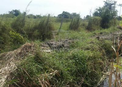 36592 - Land for sale, Bangna-Trad Road, Km. 35, inbound, area 248 rai.