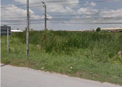 38215 - Nonthaburi - Bang Bua Thong Road, Land For Sale, Plot size 16 acres