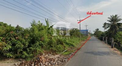 40698 - ขายที่ดิน ถนนปิ่นเกล้า-บรมราชชนนี ถ.ศาลายา หลังห้างเซ็นทรัล