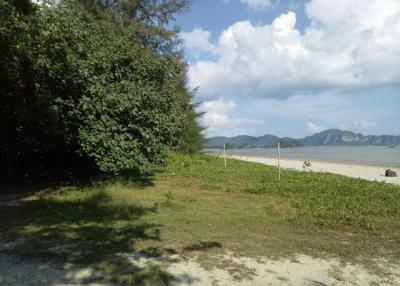 38643-Land for sale, Krabi Province, area 16 rai 200 sq wa