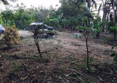 37587 - Land for sale, Nakhon Chai Si Road, number 4031, area 5 rai 133 sq wa