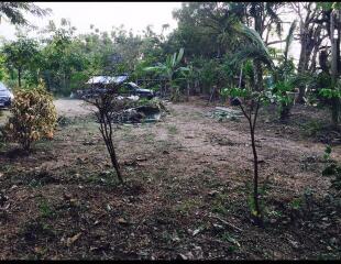 37587 - Land for sale, Nakhon Chai Si Road, number 4031, area 5 rai 133 sq wa