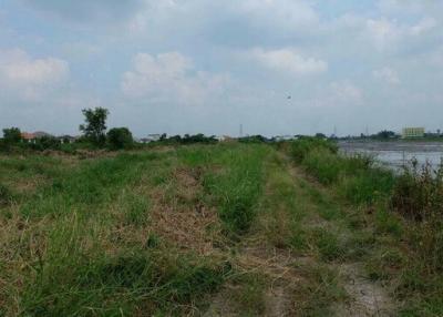 36201-Land for sale, already developed and allocated. Kanchanaphisek Road, Bang Bua Thong, area 64 rai 200 sq wa