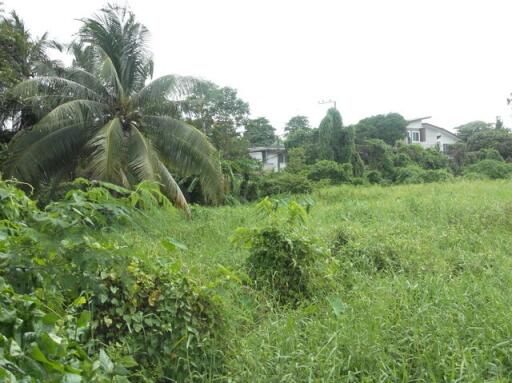 27,120 Sqm. Land listed for ฿ 1,017,000,000.