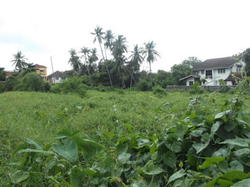 27,120 Sqm. Land listed for ฿ 1,017,000,000.