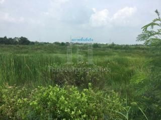 35065 - Land for sale, Bang Pakong-Chachoengsao Road, area 11 rai 79 sq wa