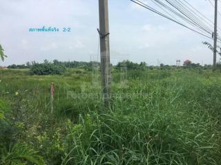 35065 - Land for sale, Bang Pakong-Chachoengsao Road, area 11 rai 79 sq wa