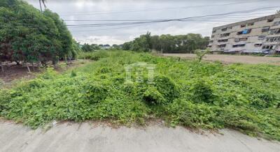 39942 - Sukhumvit 107, Land for sale, plot size 3.3 acres