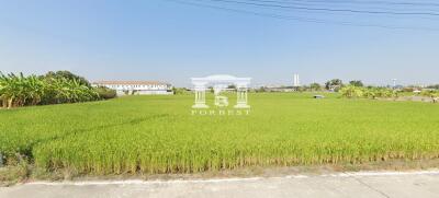 42460 - Land for sale, area 27 rai, Bangna Garden, Bangna-Trad Km.26, near ABAC University.