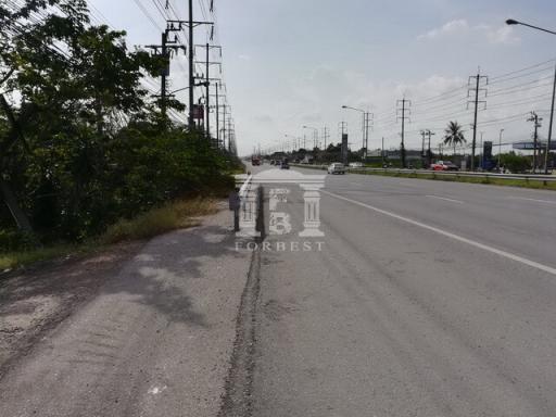 39766 - Suwinthawong Road, Nong Chok, Land for sale, plot size 5 acres