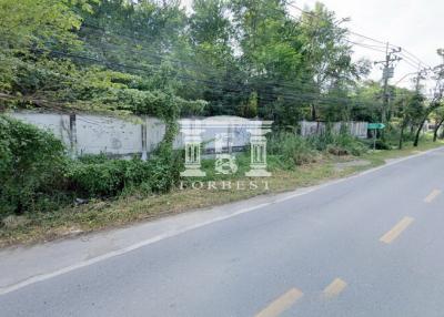 39007 vacant land for sale Along Thawi Watthana Canal, area 4-1-34 rai.