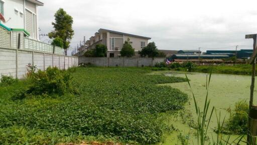 38427-Land for sale Thian Talay Road - Rama 2, area 345 sq wa