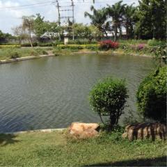 35205 - Single house for sale next to Lake Lake (Crystal Lake), corner house, next to the road on 2 sides, area 305.30 square meters.