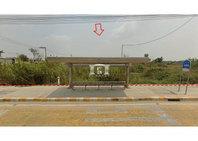 43154 - Land for rent, area 2-2-94 rai, next to Hathairat main road.