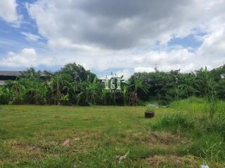 43219 - Land for sale, area 344.20 sq w, Phetkasem 114.