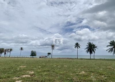 43255 - Land for sale, area 74-3-21.50 rai, Thap Sakae, Prachuap Khiri Khan.