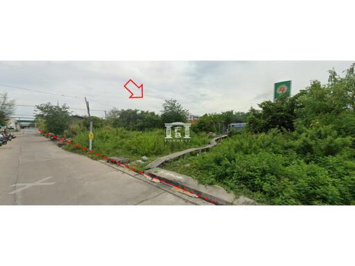 43345 - Land for sale, area 8-3-90.50 rai, next to Sukhumvit, Bang Pu Industrial Estate.