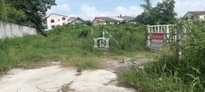 43352 - Land for sale, area 317 sq m, Sukhumvit 74, near BTS Bearing.