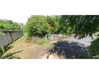 43352 - Land for sale, area 317 sq m, Sukhumvit 74, near BTS Bearing.