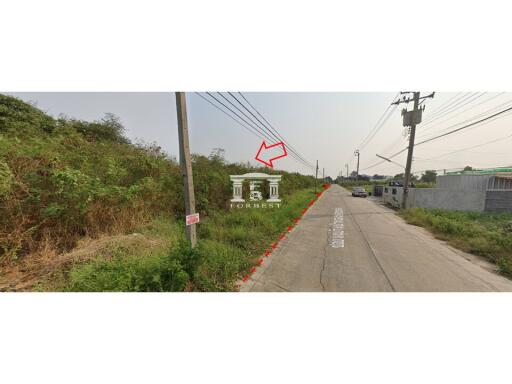 43354 - Land for sale, Buathong Land Village, area 2-0-24 rai, Bang Kruai-Sai Noi Road.