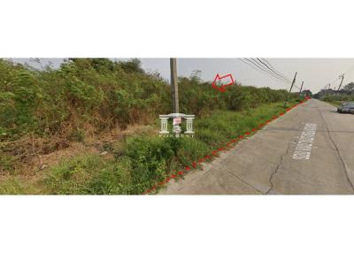 43354 - Land for sale, Buathong Land Village, area 2-0-24 rai, Bang Kruai-Sai Noi Road.