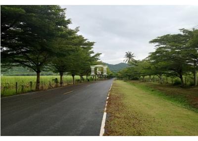 1,312 Sqm. Land listed for ฿ 5,904,000.