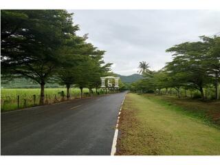 43421 - ขายที่ดิน ในโครงการ Barn house khaoyai เนื้อที่ 328 ตารางวา